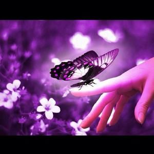 Meet your Posher, Justine